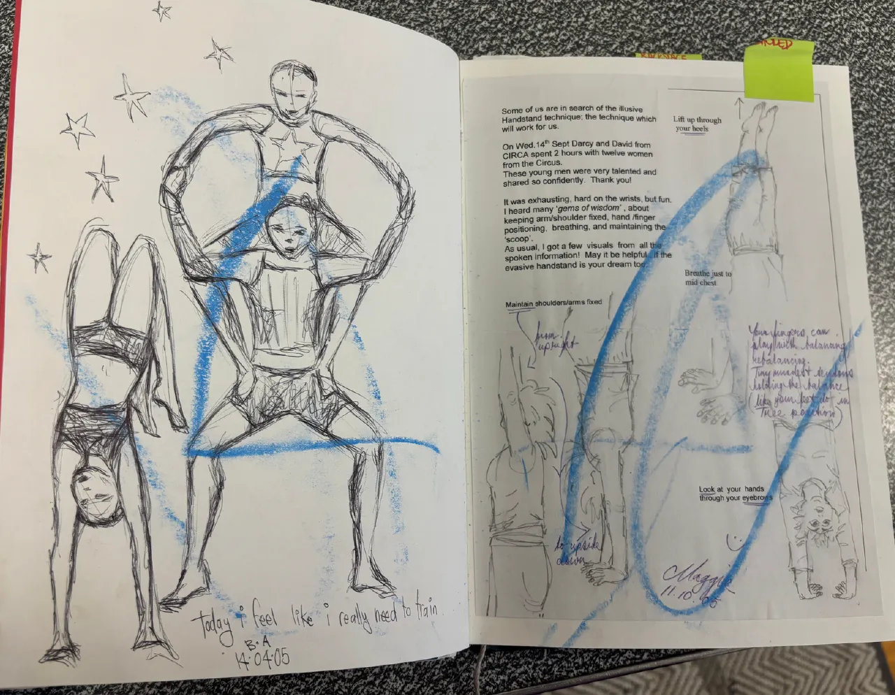 35 Years of Women's Circus