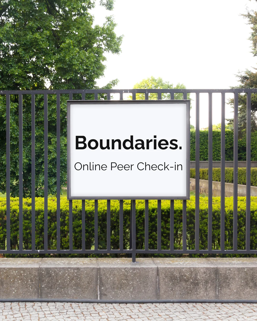 Online Discussion Group: Boundaries