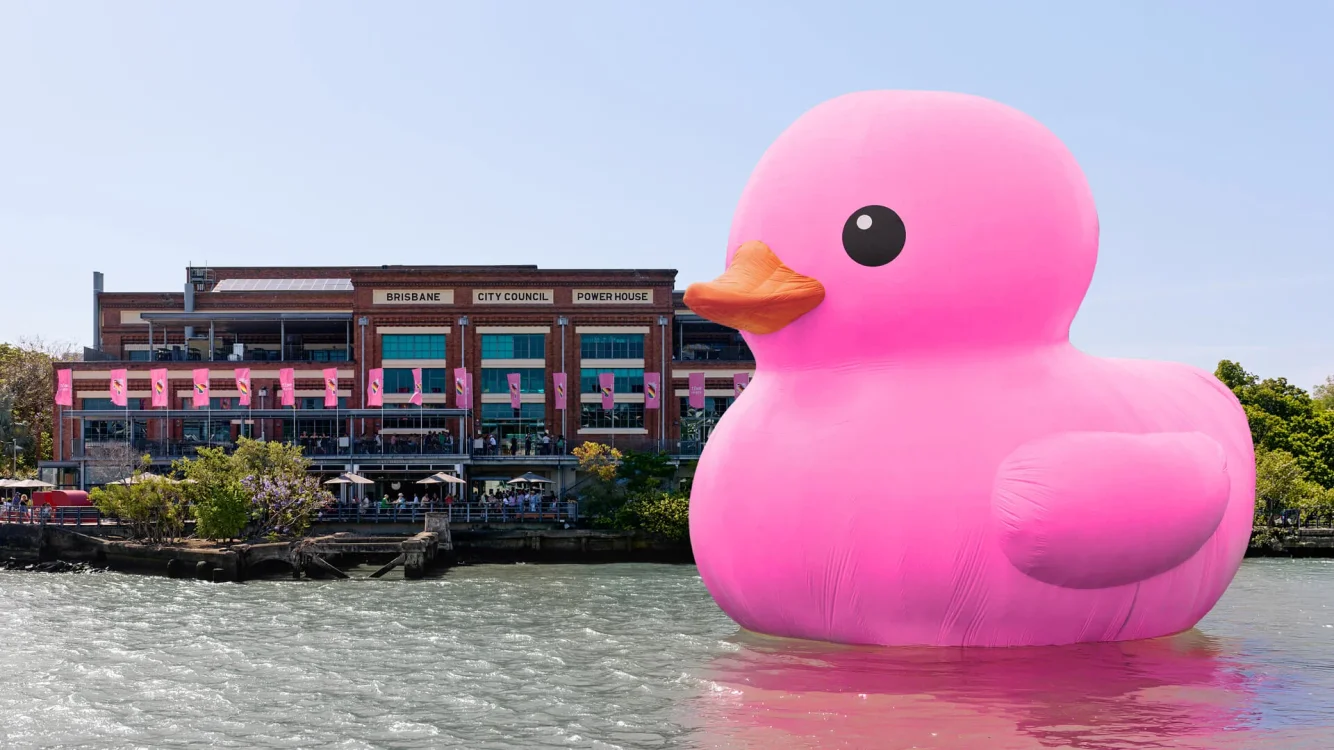Rubber Duck