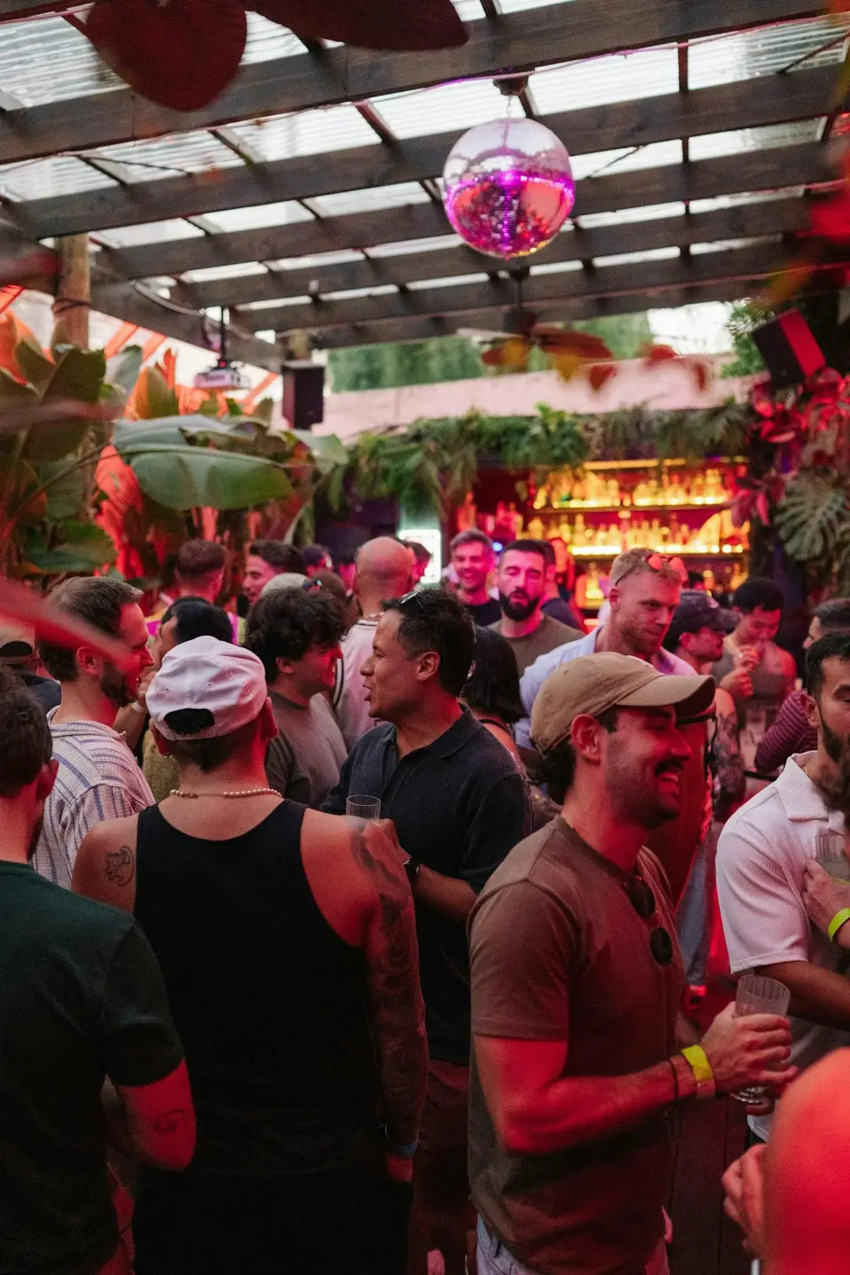 Tropicalia II