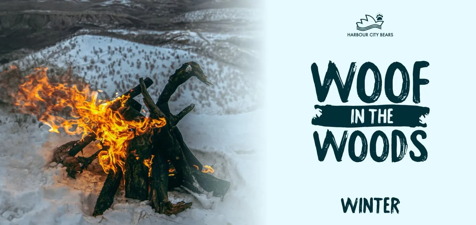 Woof in the Woods: Winter