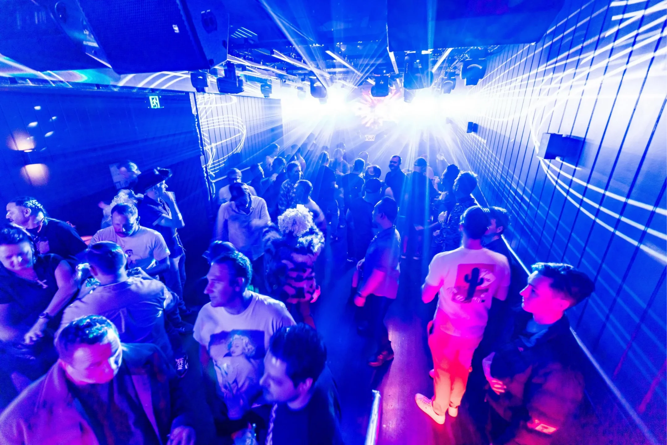 TRIBE @ 231